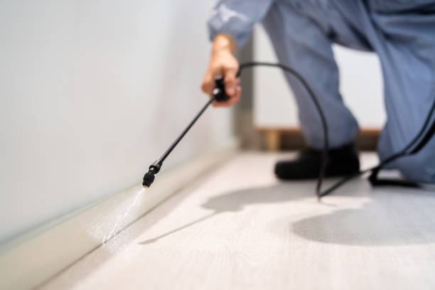Certified termite inspector examining foundation in Easton